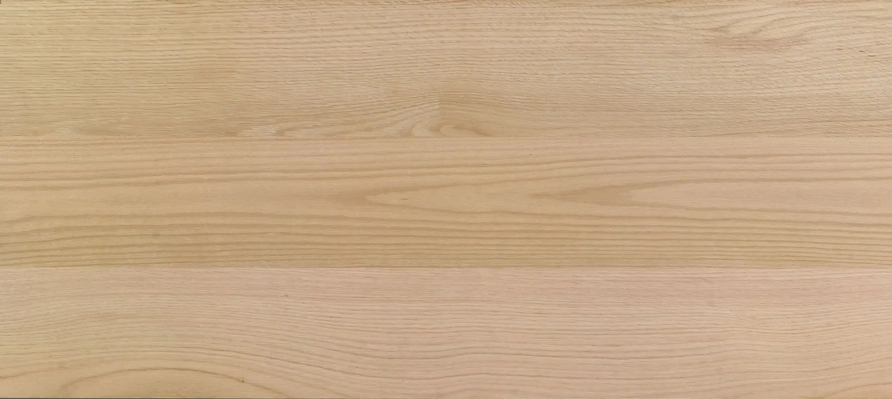 roble-rojo-europeo-1-calidad